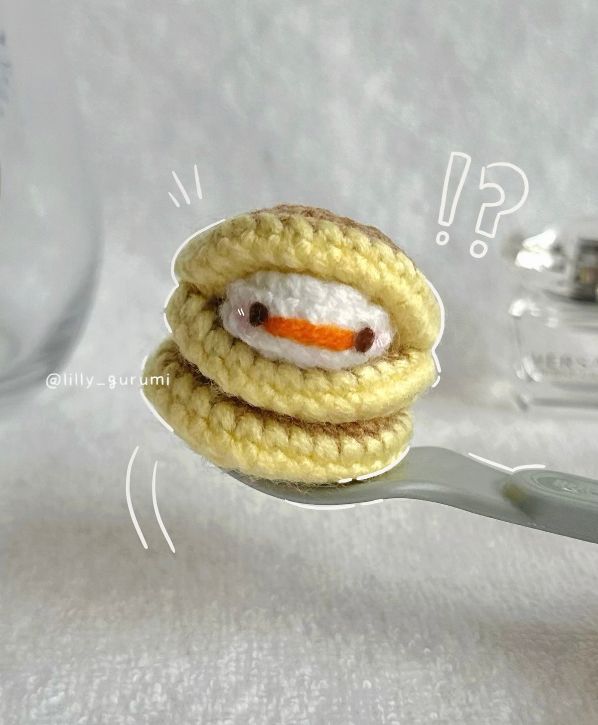Duck in a Pancake Crochet Pattern PDF